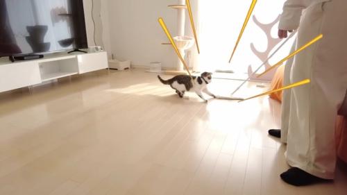 パンチ
