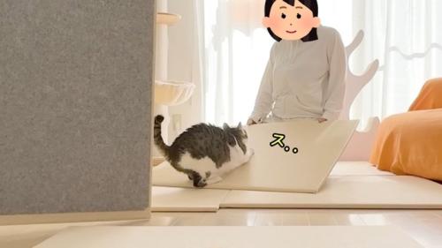 スッ