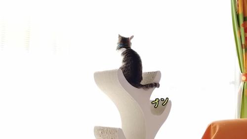 ブン