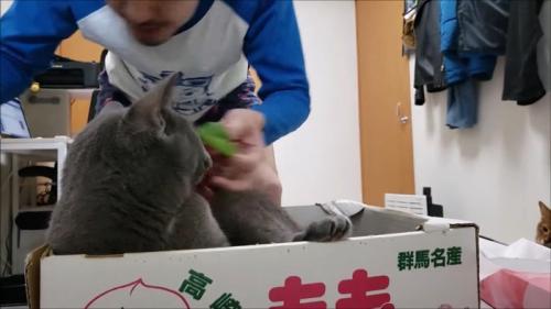振り返って