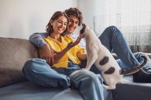 飼い主夫妻と遊ぶ猫