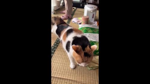 のび