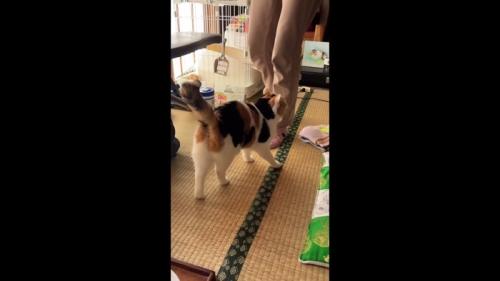 後ろ姿