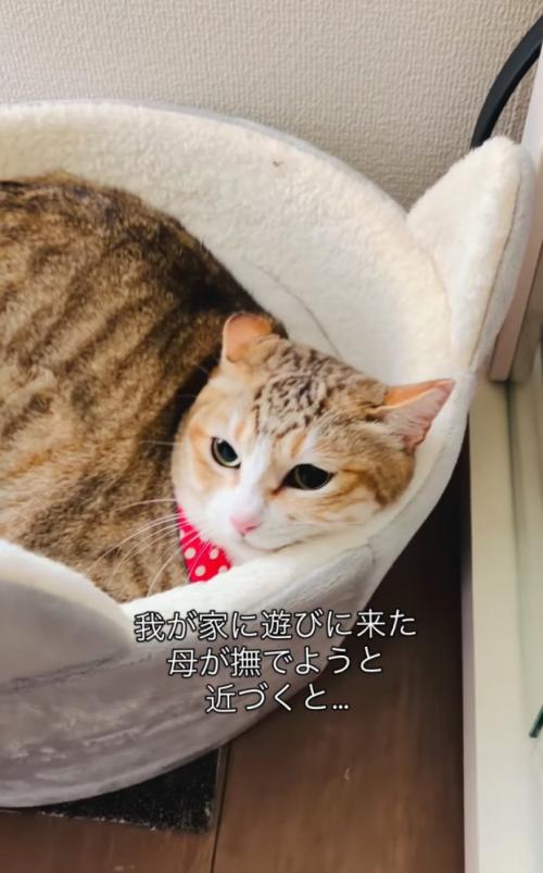 ベッドを回す