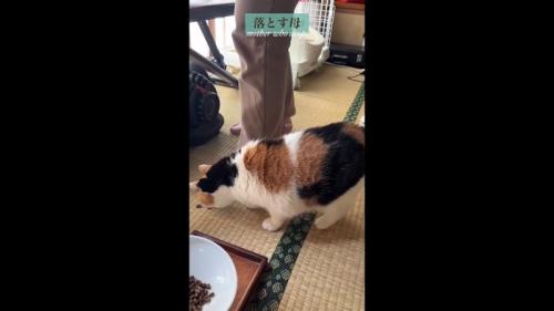 落とす母