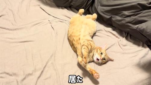 居た
