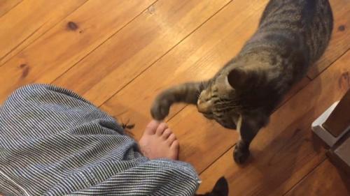 右パンチ