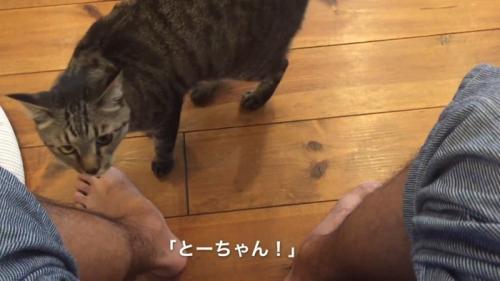 とーちゃん！