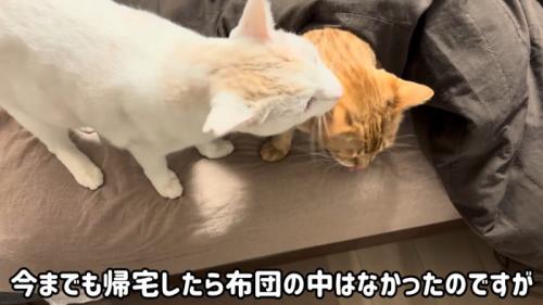 毛づくろい