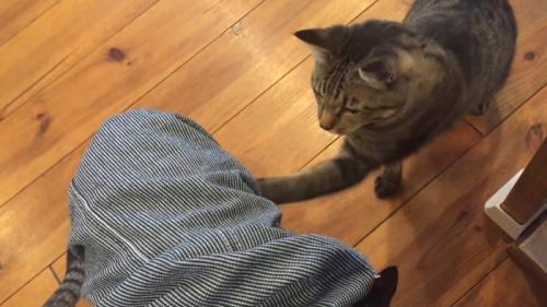 左パンチ