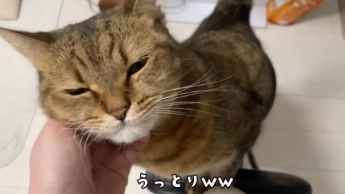 うっとり