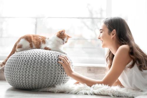 猫と飼い主