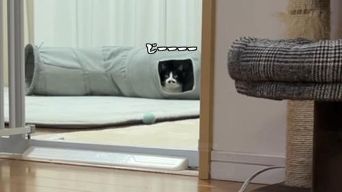 じー