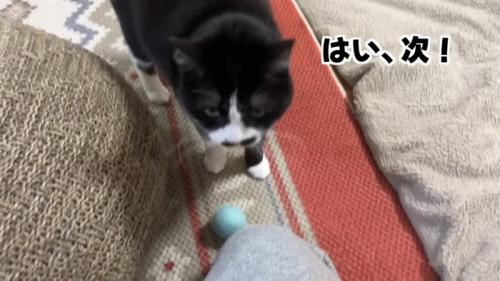 はい、次！