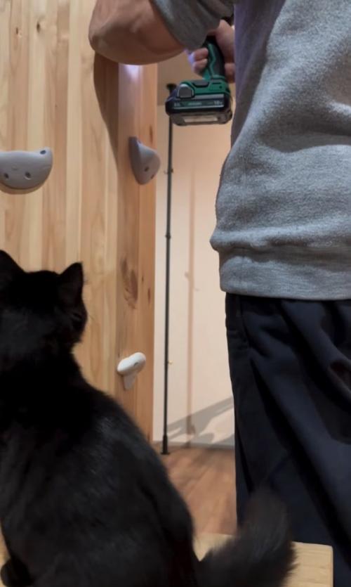 作業の真下をウロウロする子猫2