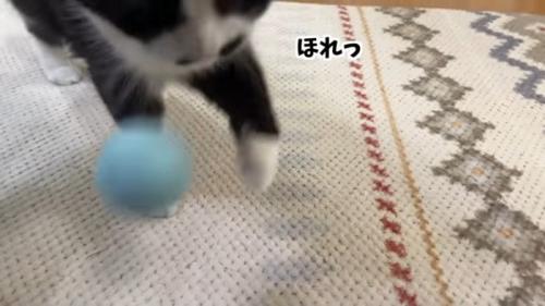 ほれっ