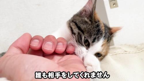 テロップ「誰も相手をしてくれません」
