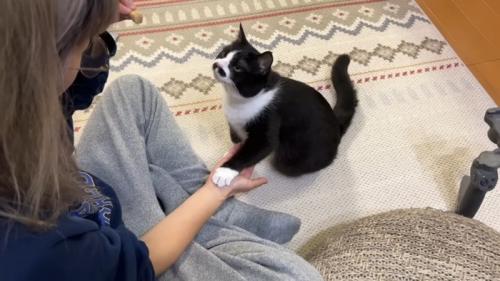 お手