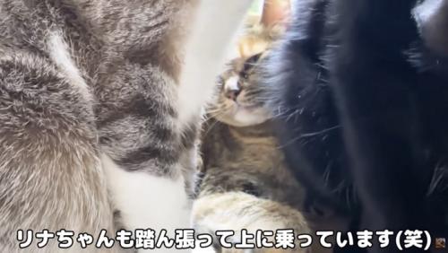 奥にリナちゃん