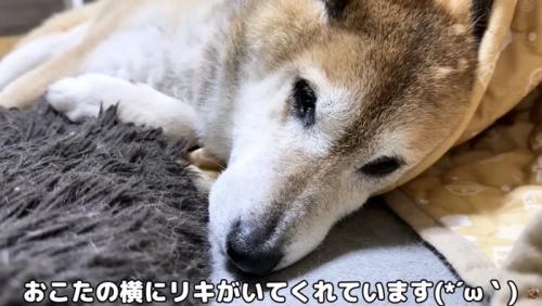 横で寄り添うリキくん