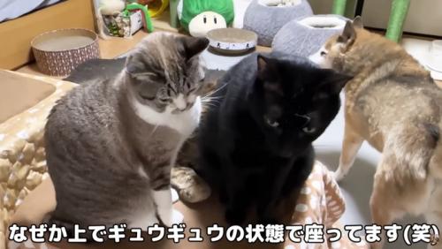謎の使用方法