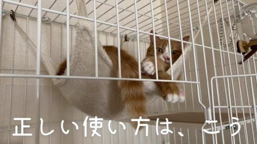 正しいハンモックの使い方1