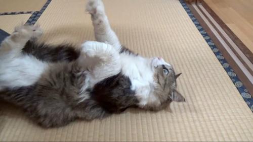 手をはなしたところ