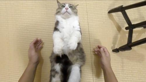 はなしても固まる