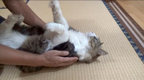 手をはなす前