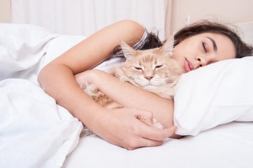 抱っこされて眠る猫