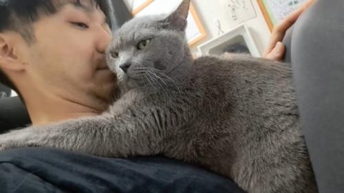 斜めを向いた姿
