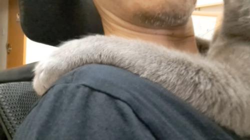 腕のアップ