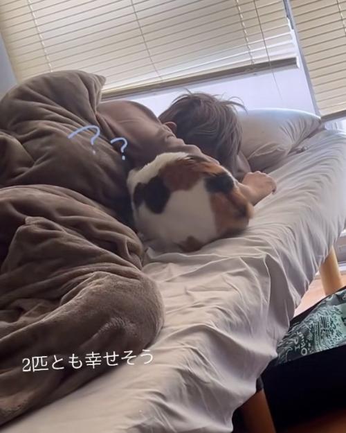 抜けた猫