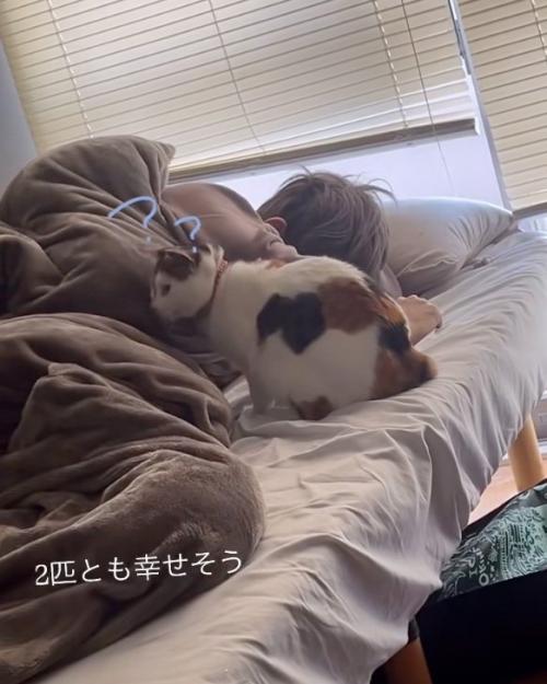 座る猫