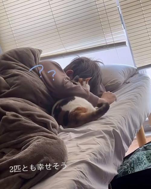 下がる猫