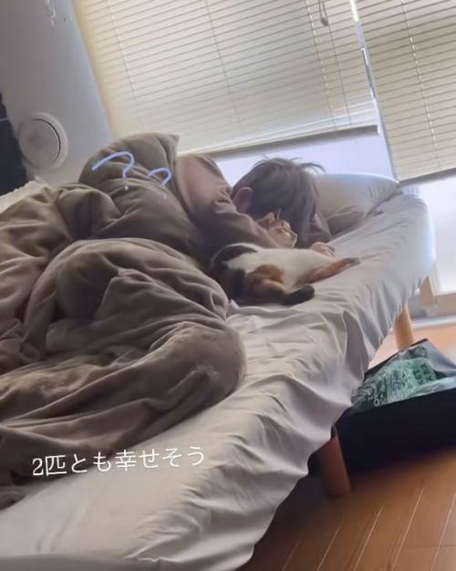 動けない猫
