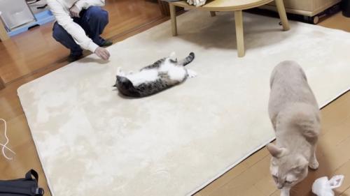 仰向け