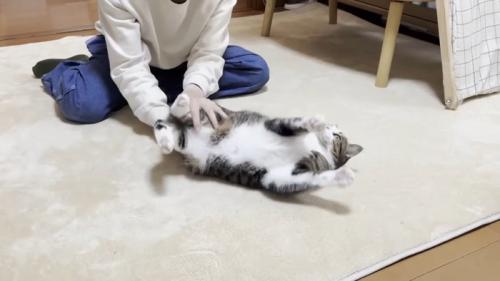向かって左に転がされ中