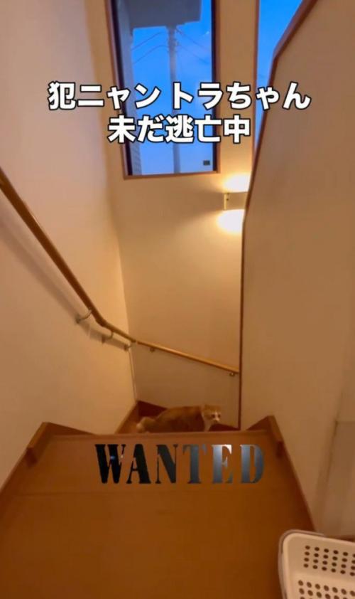 WANTEDと書かれた写真