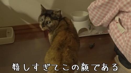 嬉しすぎて