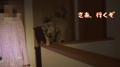 さぁ、行くぞ