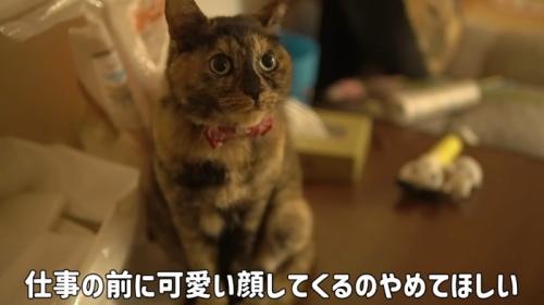 仕事の前に