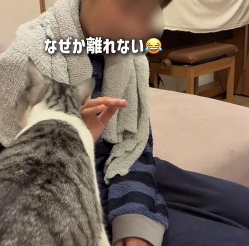 長男くんに擦り寄る保護猫
