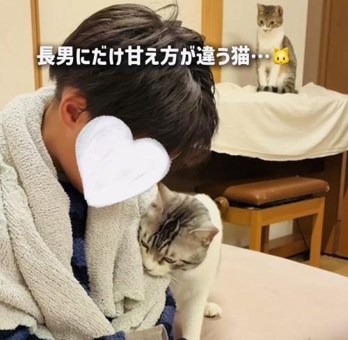 長男くんに擦り寄る保護猫