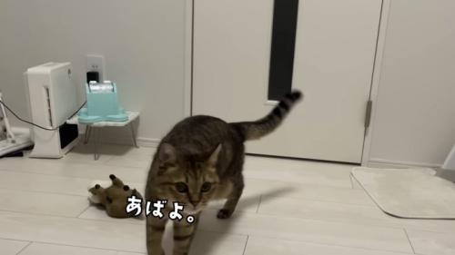 「あばよ。」のテロップ写真