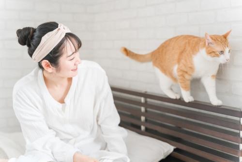 歩く猫を見る人