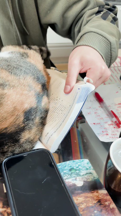 猫の下に敷かれた教科書を持つ男の子