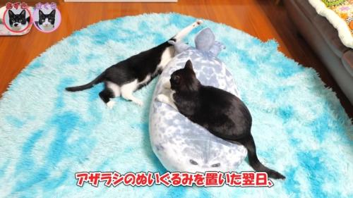 置いた翌日