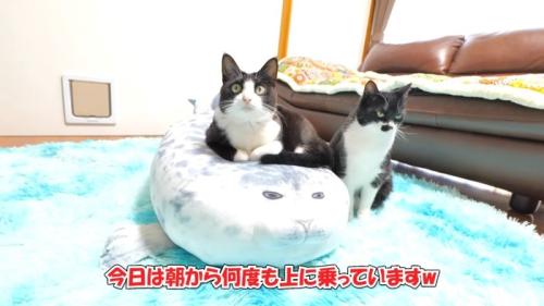 今日は朝から