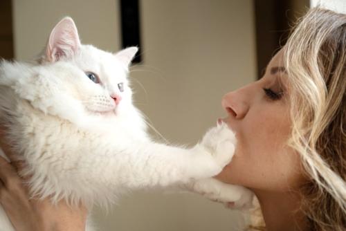 無理やりだっこされる猫